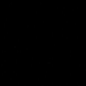 Meet your Posher, Rafael